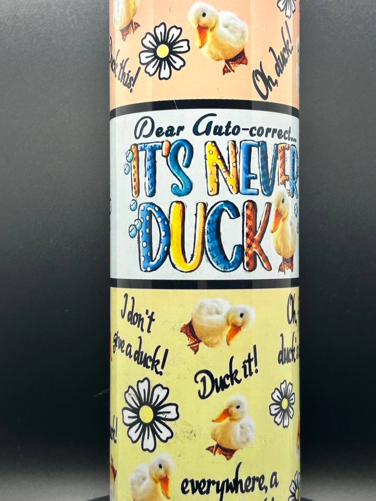 Its Never Duck